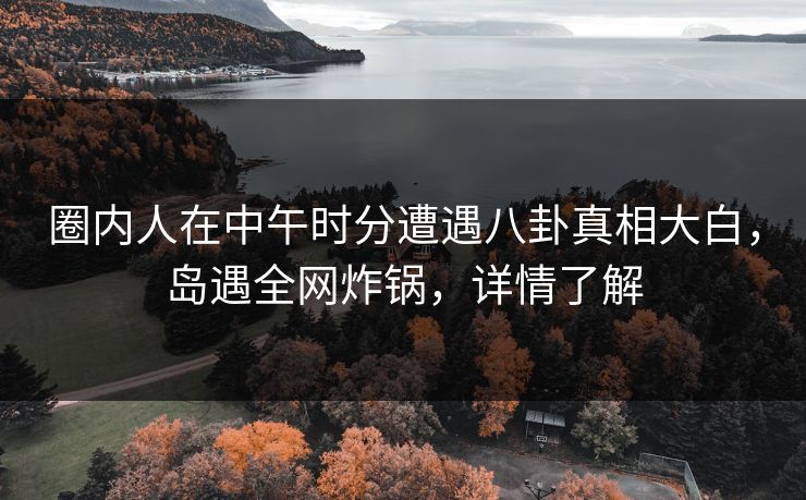 圈内人在中午时分遭遇八卦真相大白，岛遇全网炸锅，详情了解