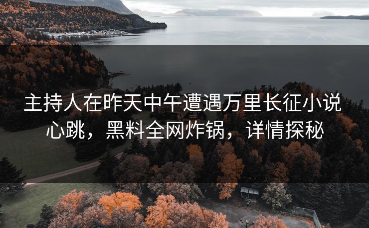 主持人在昨天中午遭遇万里长征小说 心跳，黑料全网炸锅，详情探秘
