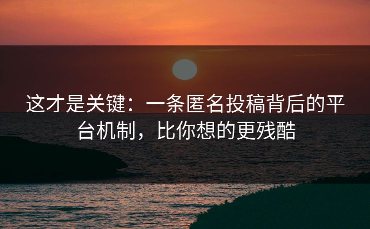 这才是关键：一条匿名投稿背后的平台机制，比你想的更残酷