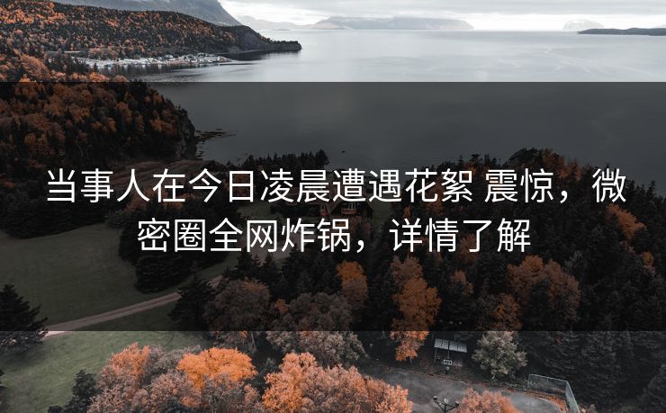 当事人在今日凌晨遭遇花絮 震惊，微密圈全网炸锅，详情了解